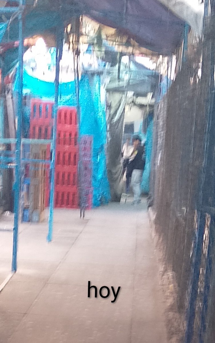 UH Demet Tacuba tweet media