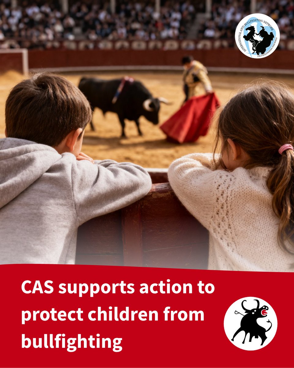 CAS International tweet media