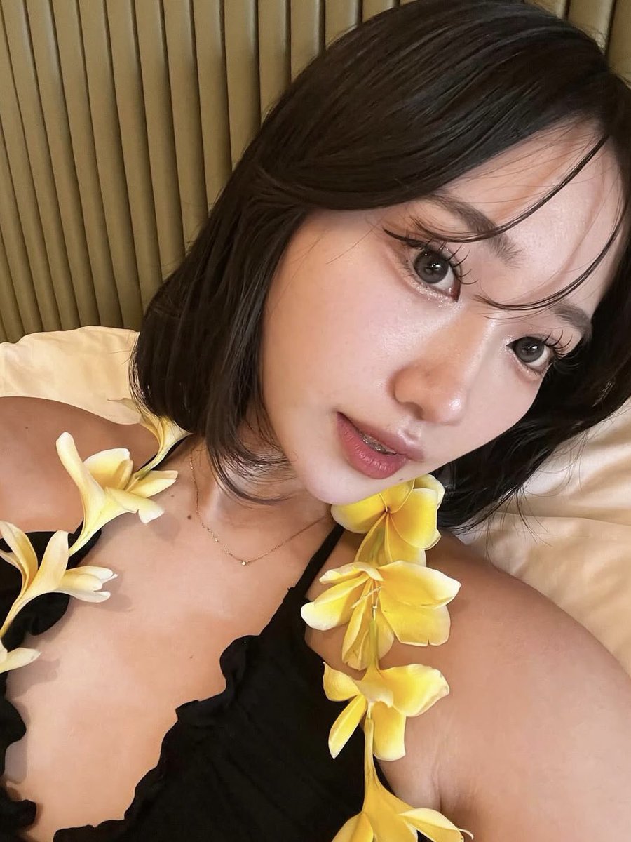 おなぺ図鑑 tweet media