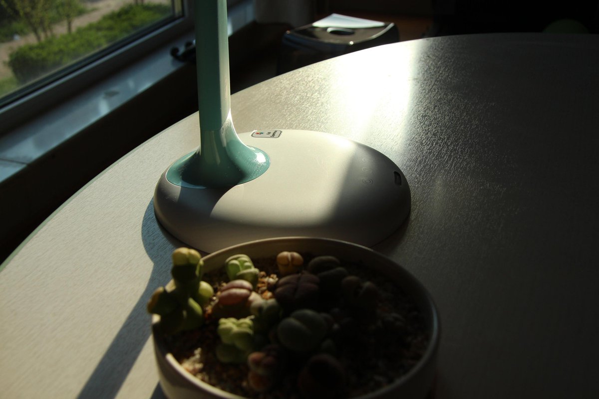 Jeannie Pyron tweet media