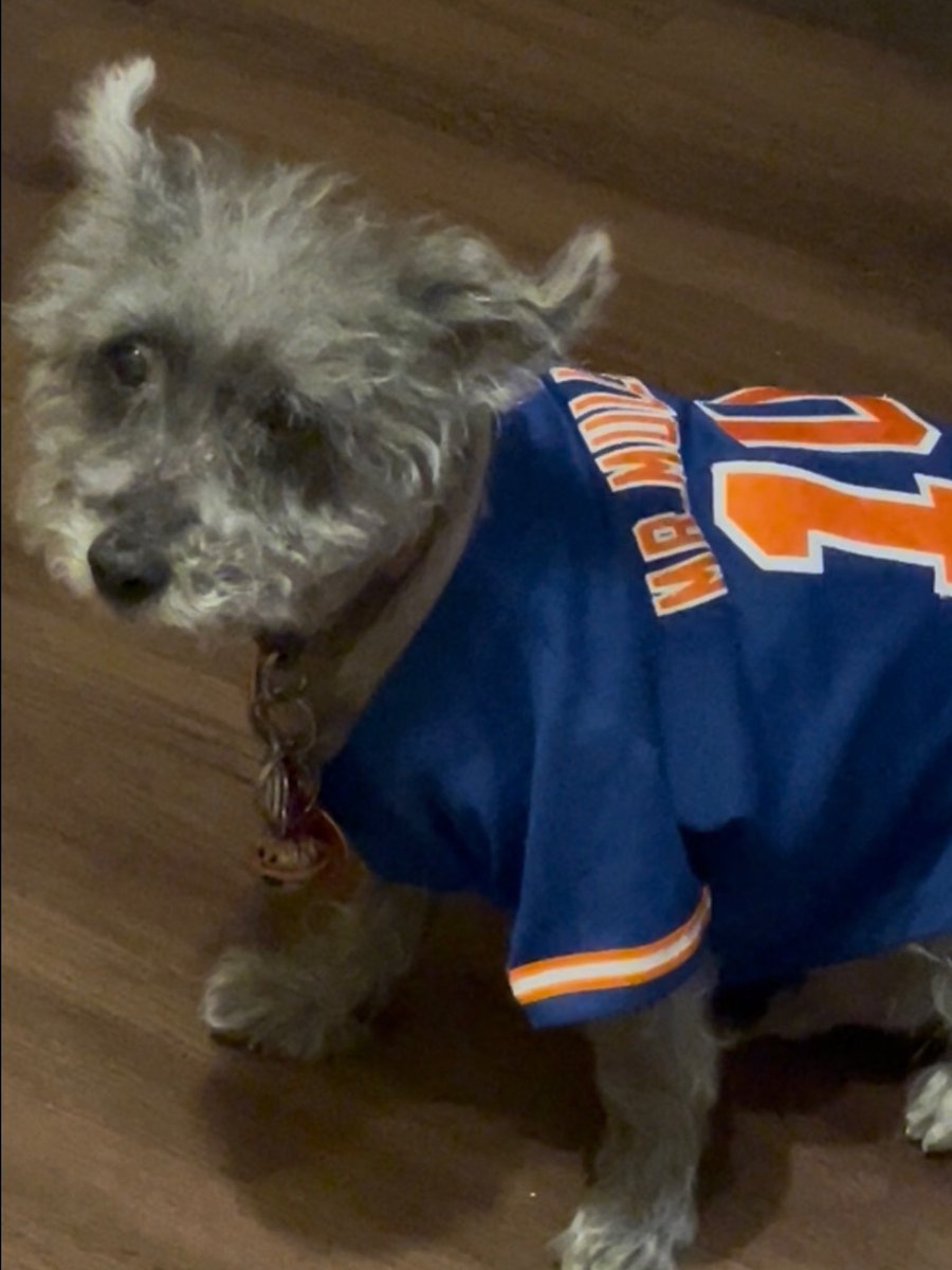 Mr. Mullunigan tweet media