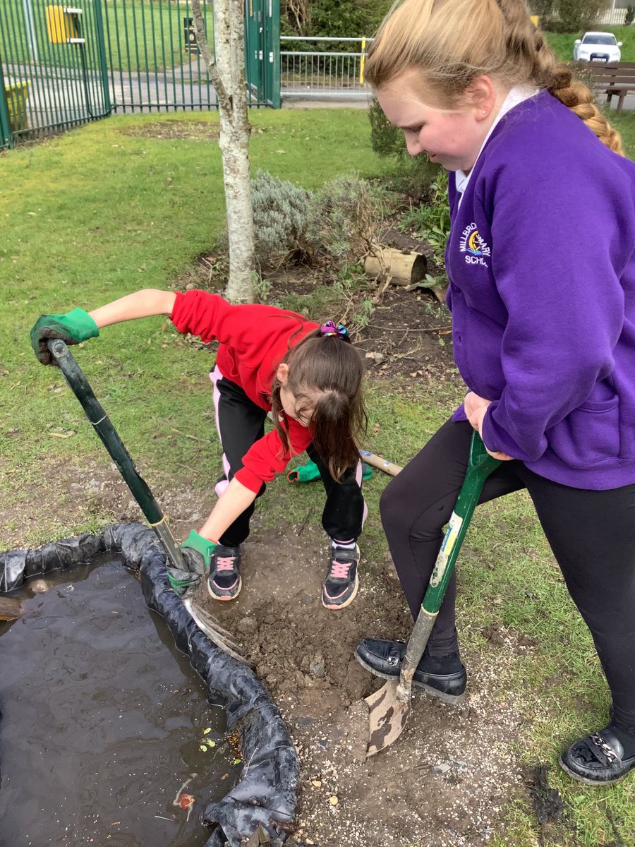 MillbrookWigan_'s tweet photo. We are working hard to revamp our pond. This morning we found a toad which had got stuck so we created a way out for it to use. #mbscience https://t.co/CHJjkeBwV6