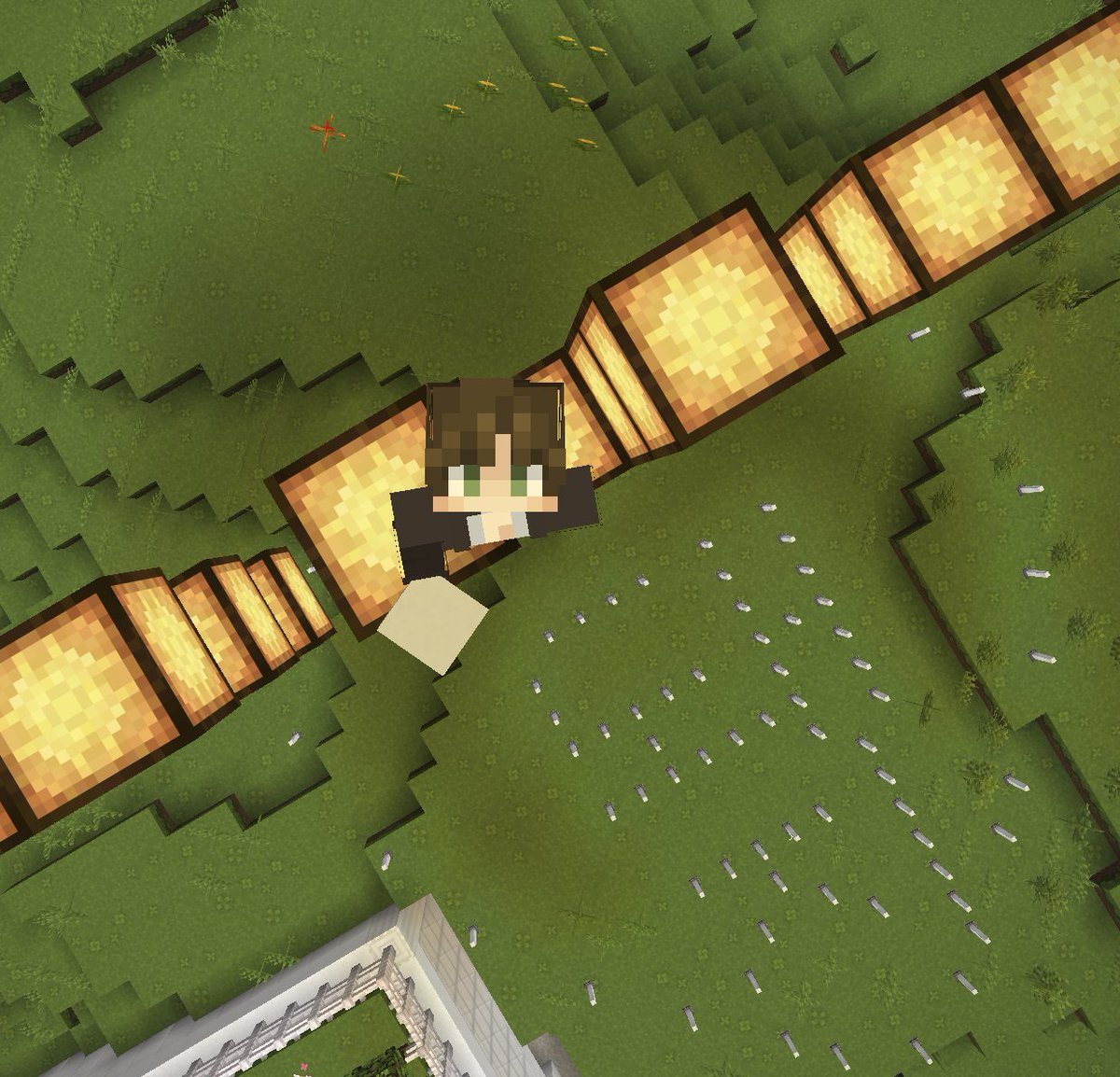 루제🐋 tweet media