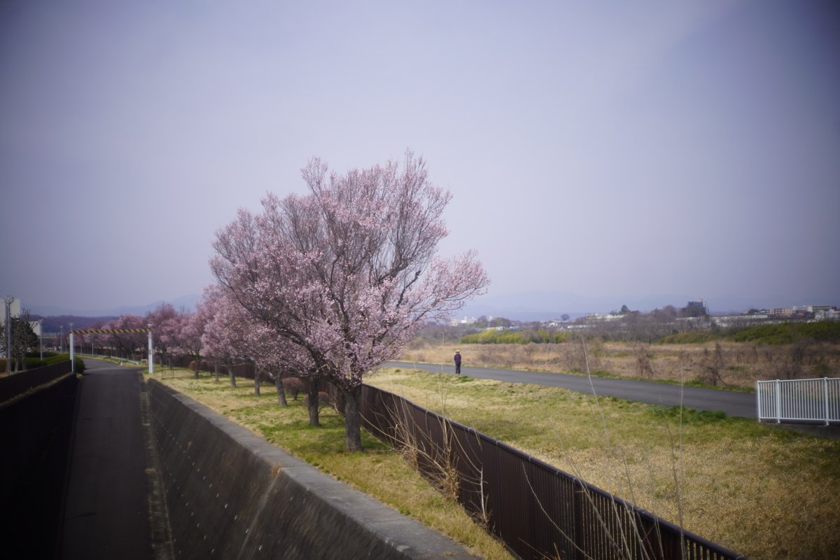 ダーク tweet media