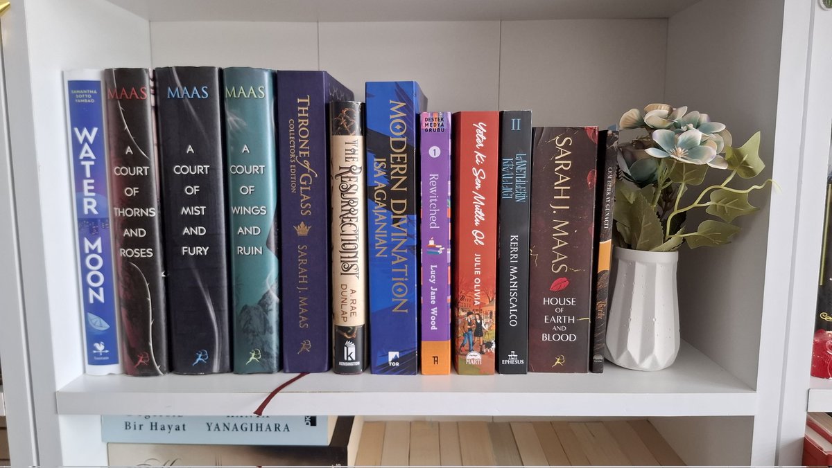 Seydaghan ✨️ tweet media