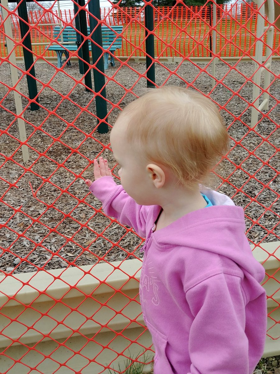 Natalie F Danelishen tweet media