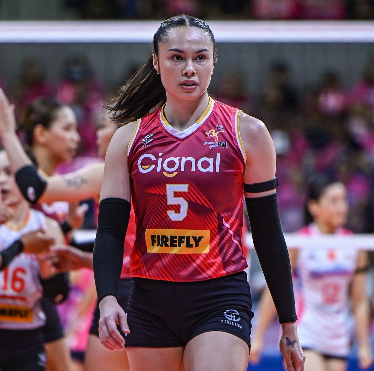 Torey Canino tweet media