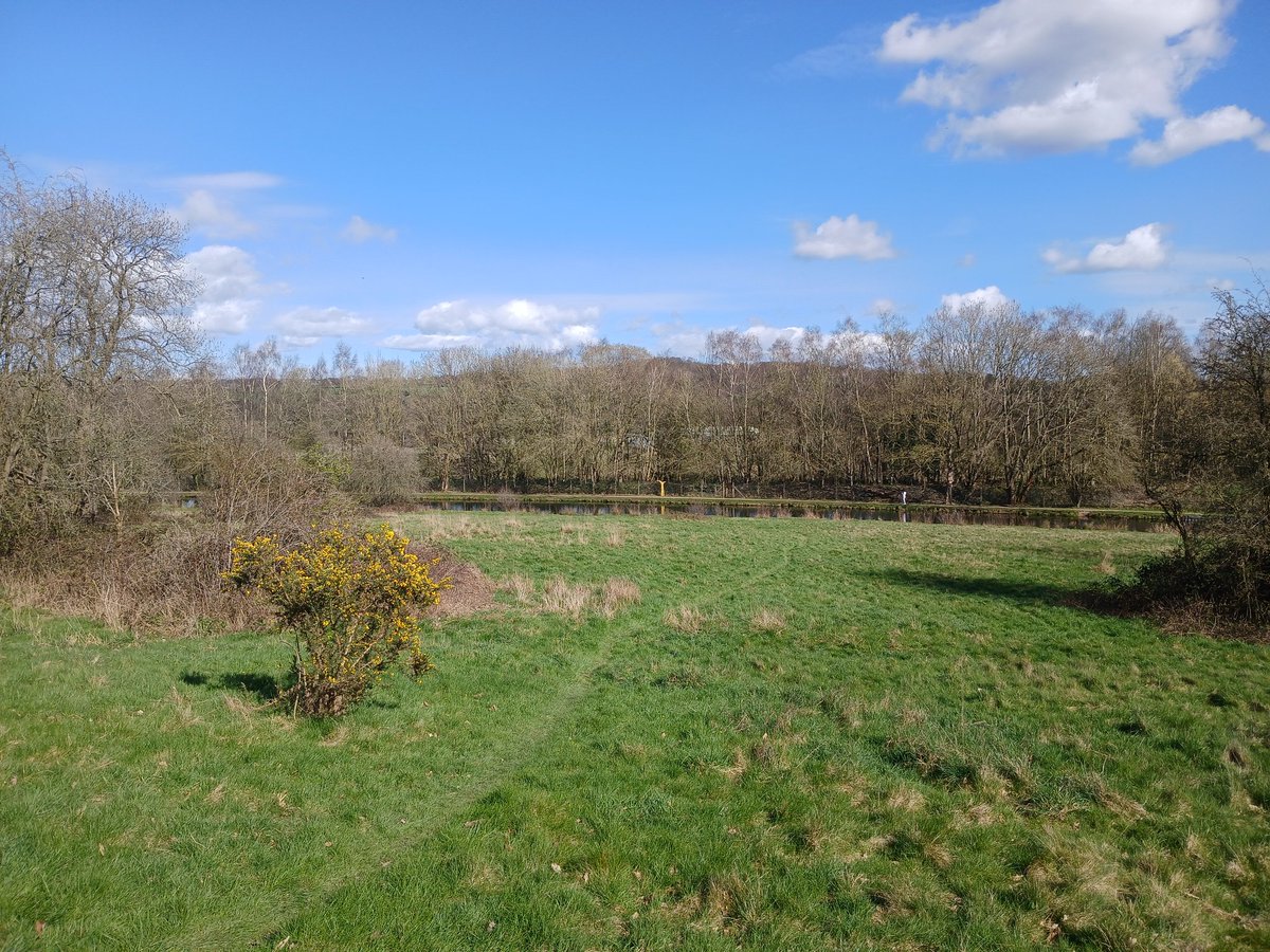 George Baines tweet media