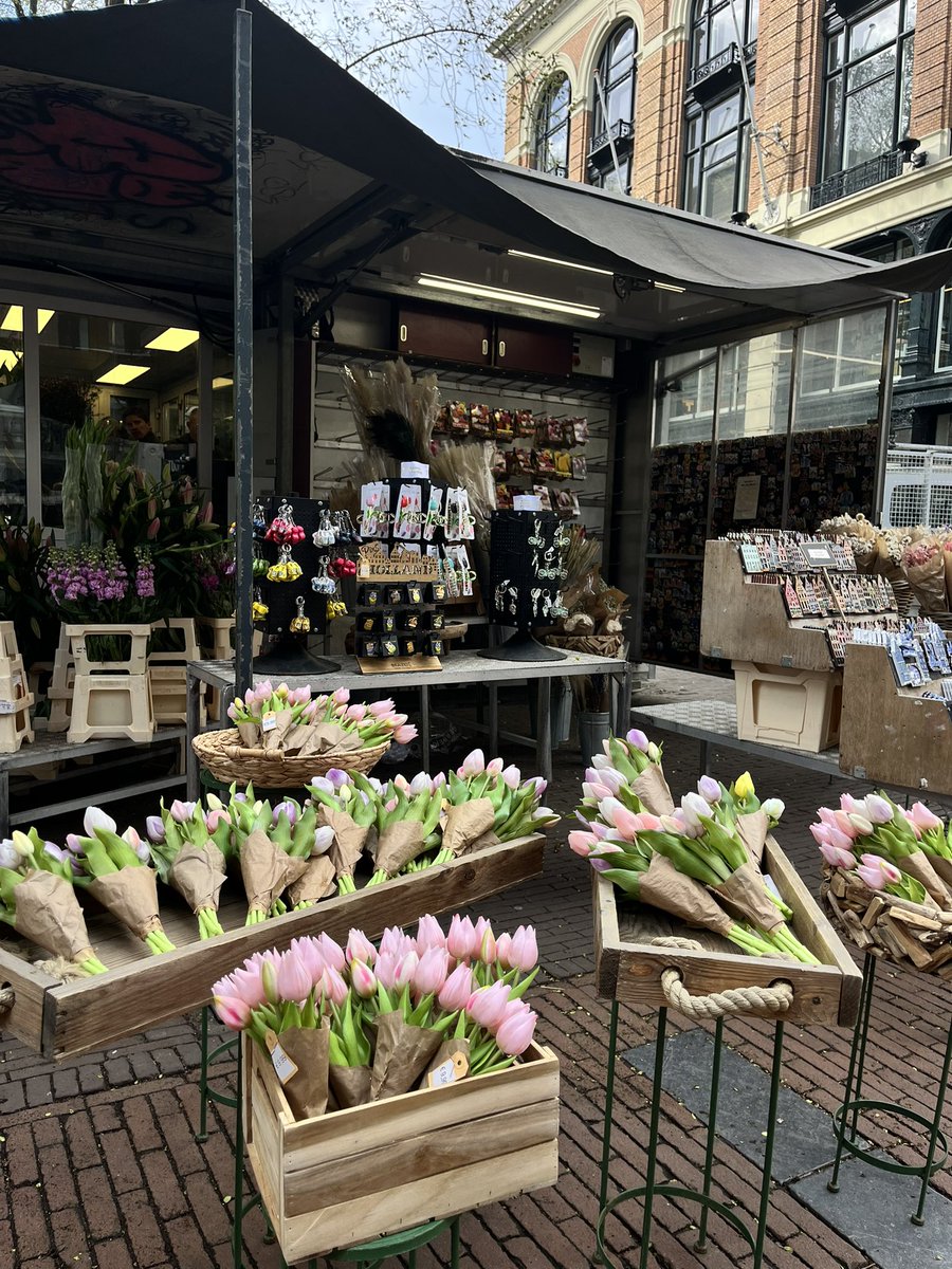 Auréane 🪩⭐️ tweet media