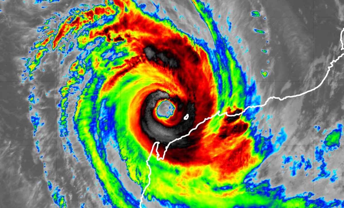 Josh Morgerman tweet media