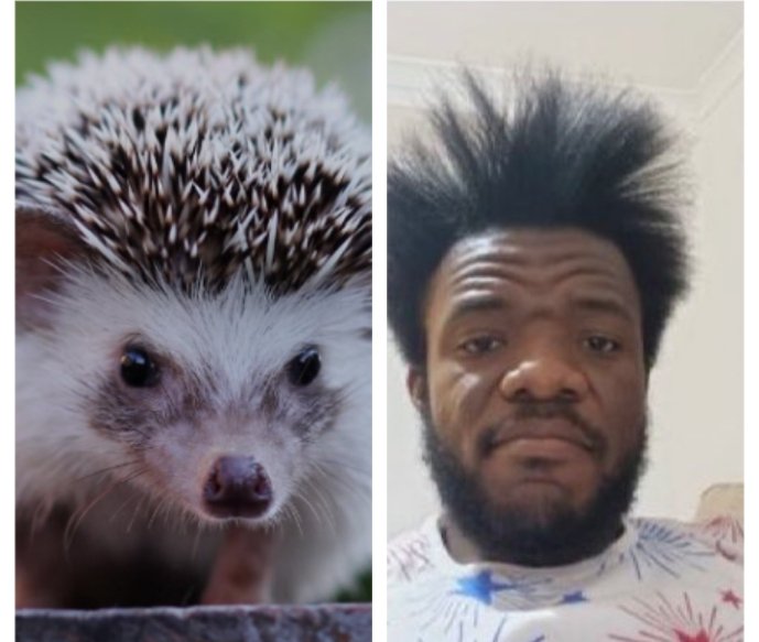 theo2🇳🇬🇩🇪 tweet media