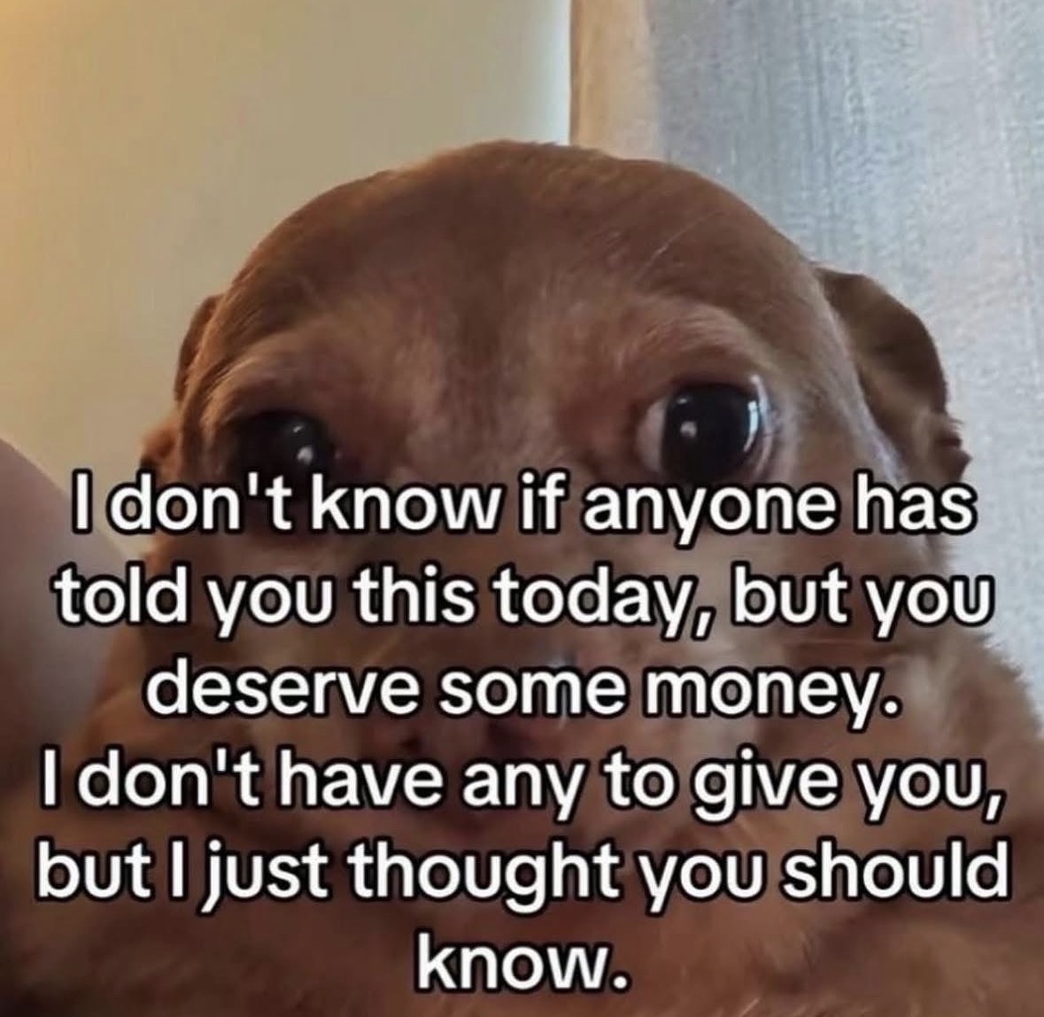 Respectful Memes tweet media