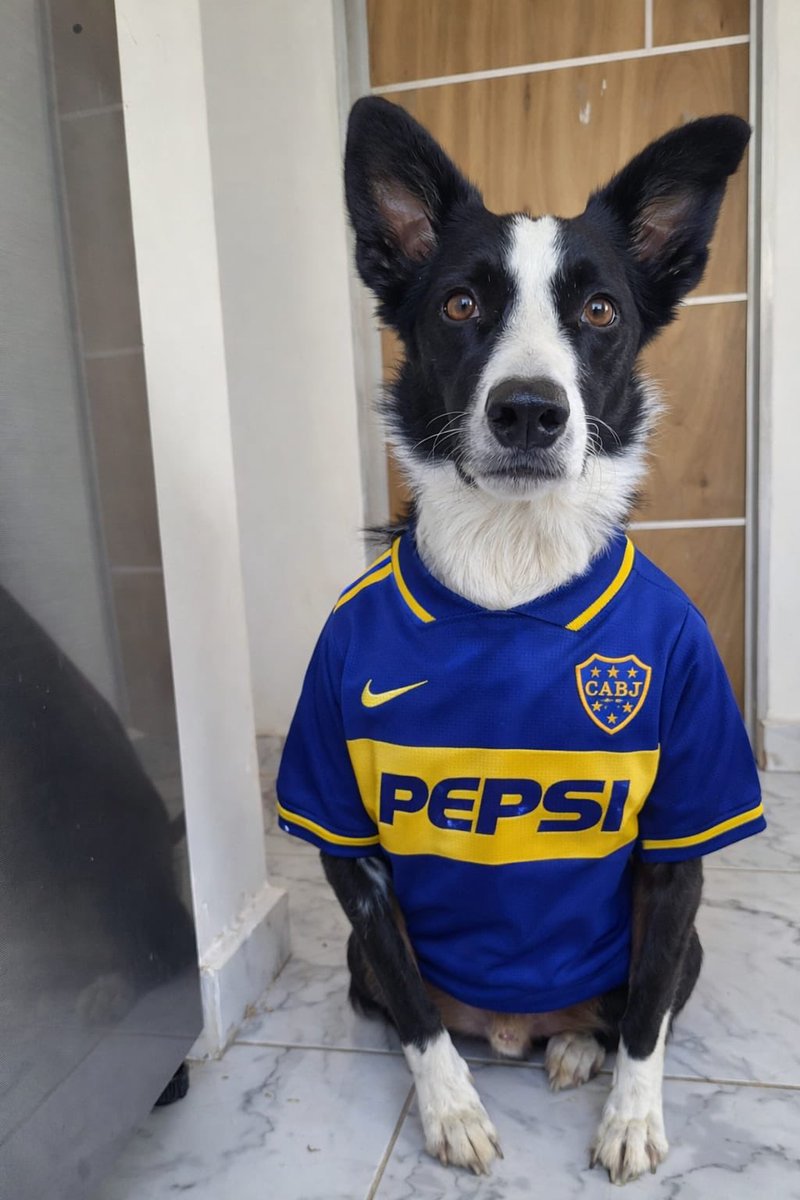 FlorRomeroLF's tweet photo. El es Fido y es de boqueeee! #nadiedicenada https://t.co/heW1Lqkk0B