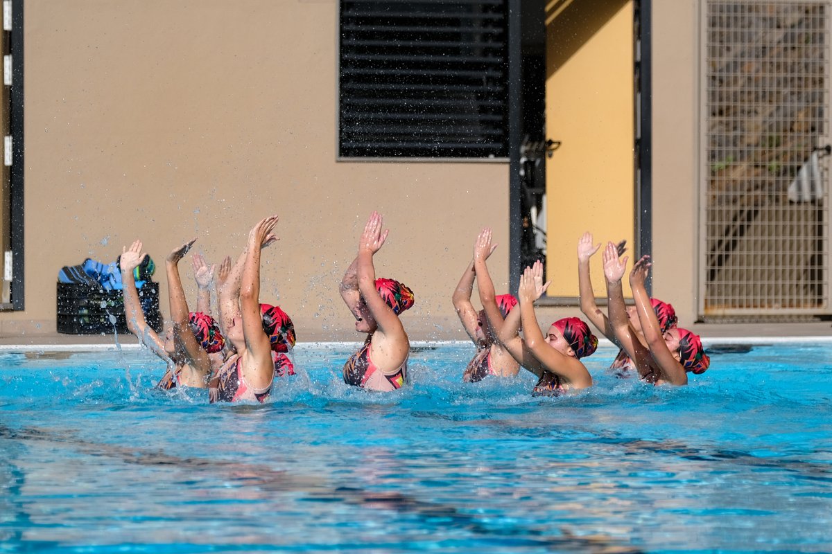Cabildo de Tenerife tweet media