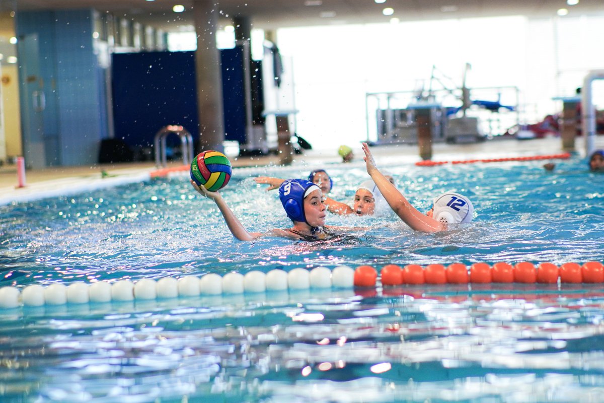 Cabildo de Tenerife tweet media