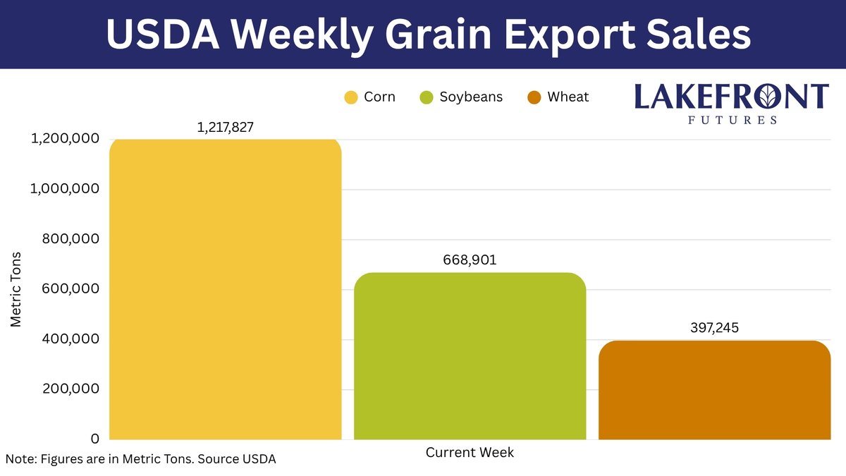 Lakefront Futures tweet media