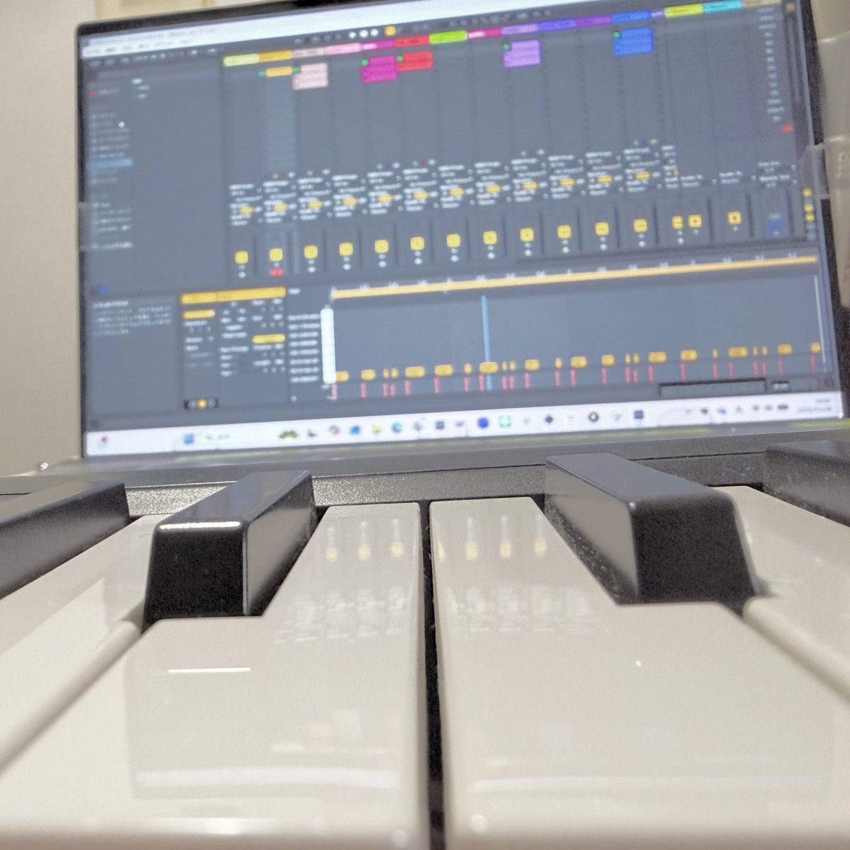 ぽらぽら。(🐼ぽらこ) 🚀🌐4/18＊K&M Live tweet media