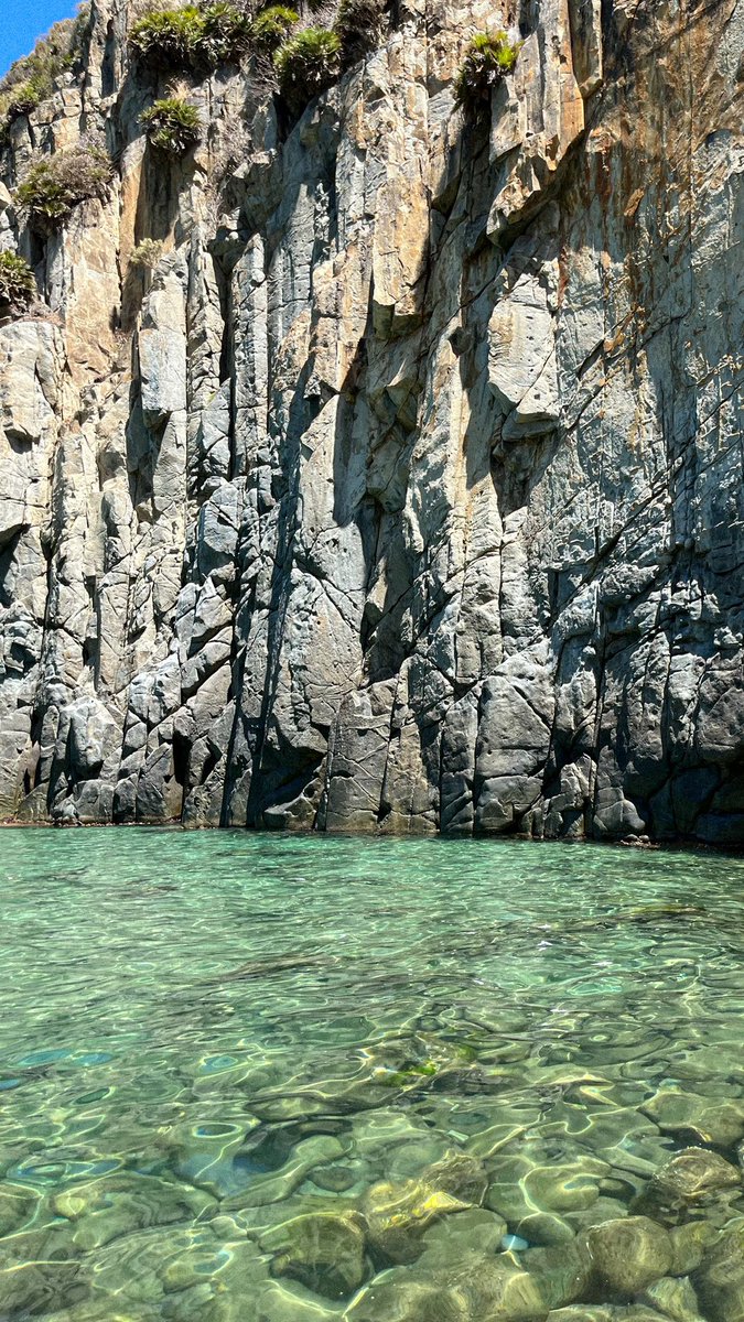 أكرم tweet media