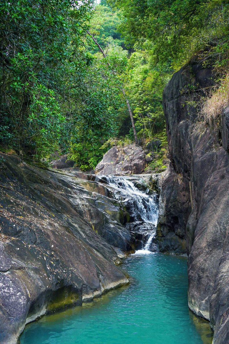 Med Lechkar tweet media