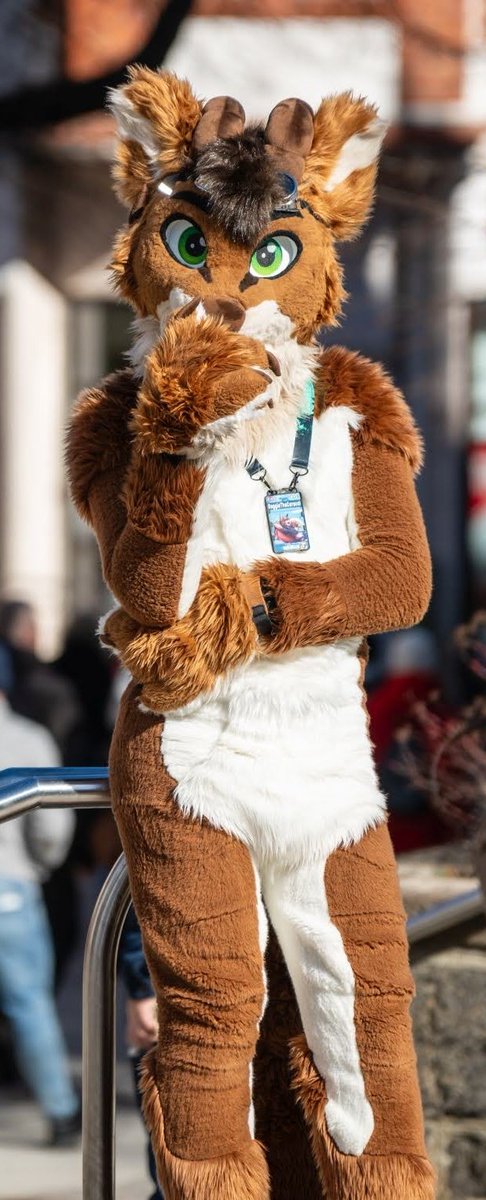 ReggieTheCaracal tweet media