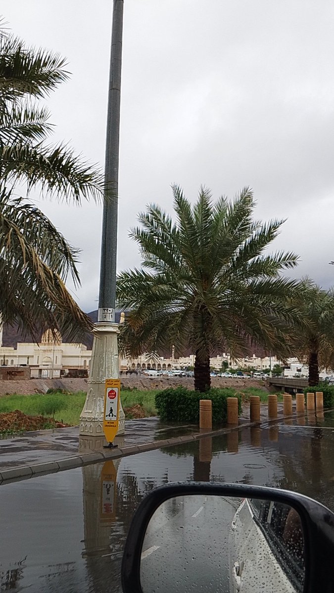 مُعاذ الجهني tweet media