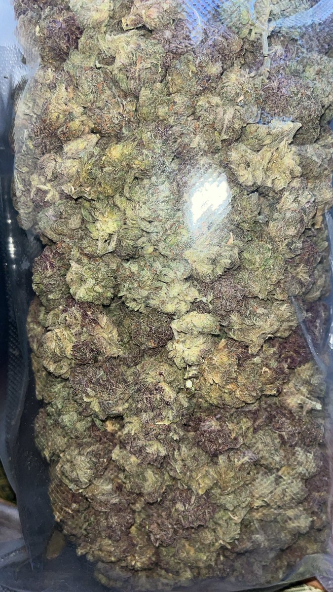 コナン2世 tweet media