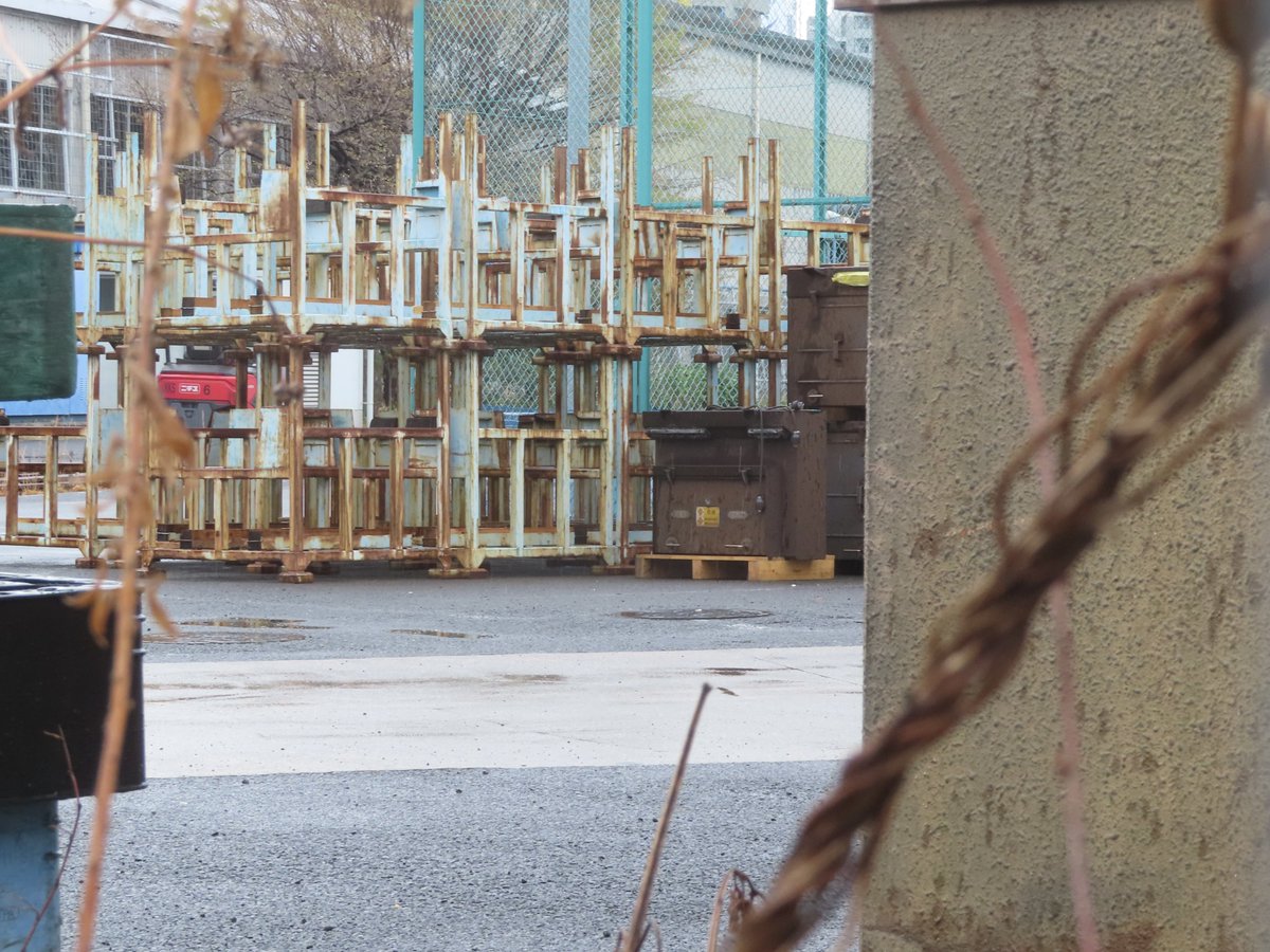 サメ線 tweet media