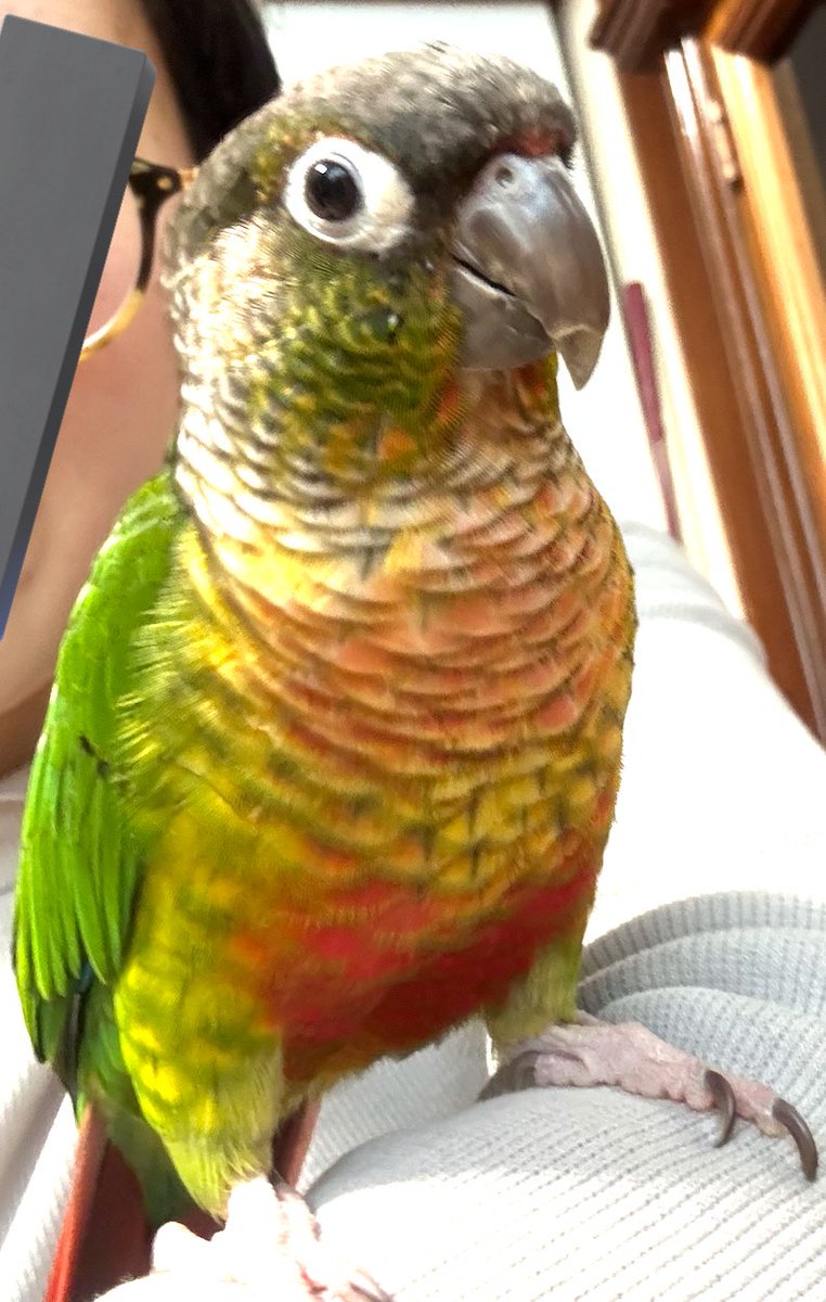 ゆいか☺︎3y🎀&2y🦖&1y🎀 tweet media