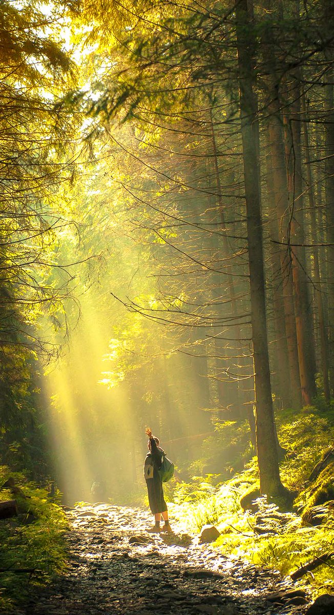 Catherine Cortez tweet media