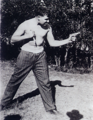 Fandom Pulse tweet media