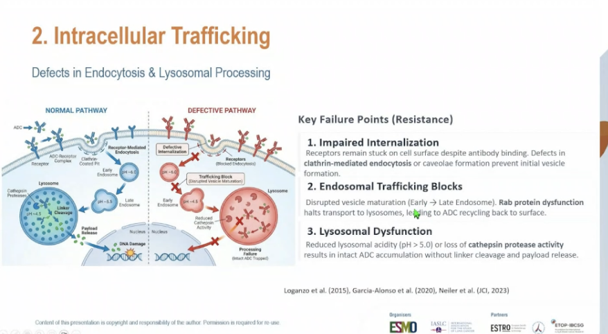 bmassutis's tweet photo. ADCs resistance mechanisms at #ELCC2026 @OncoAlert https://t.co/EzQmxRklTD