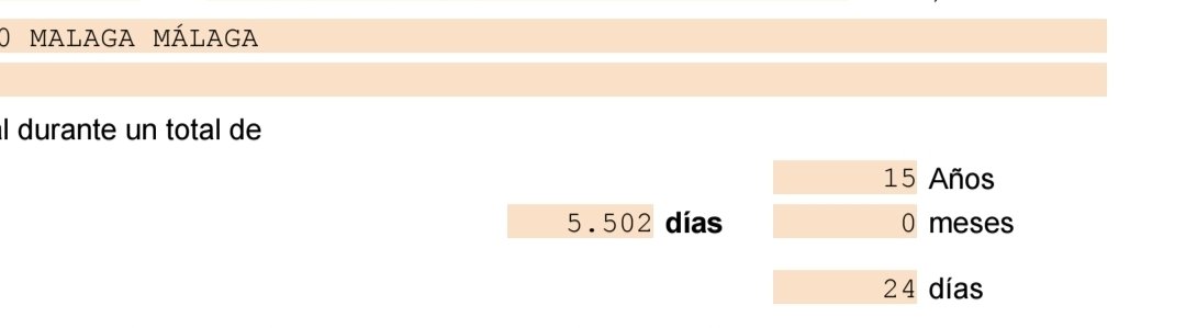 Bokespeto tweet media