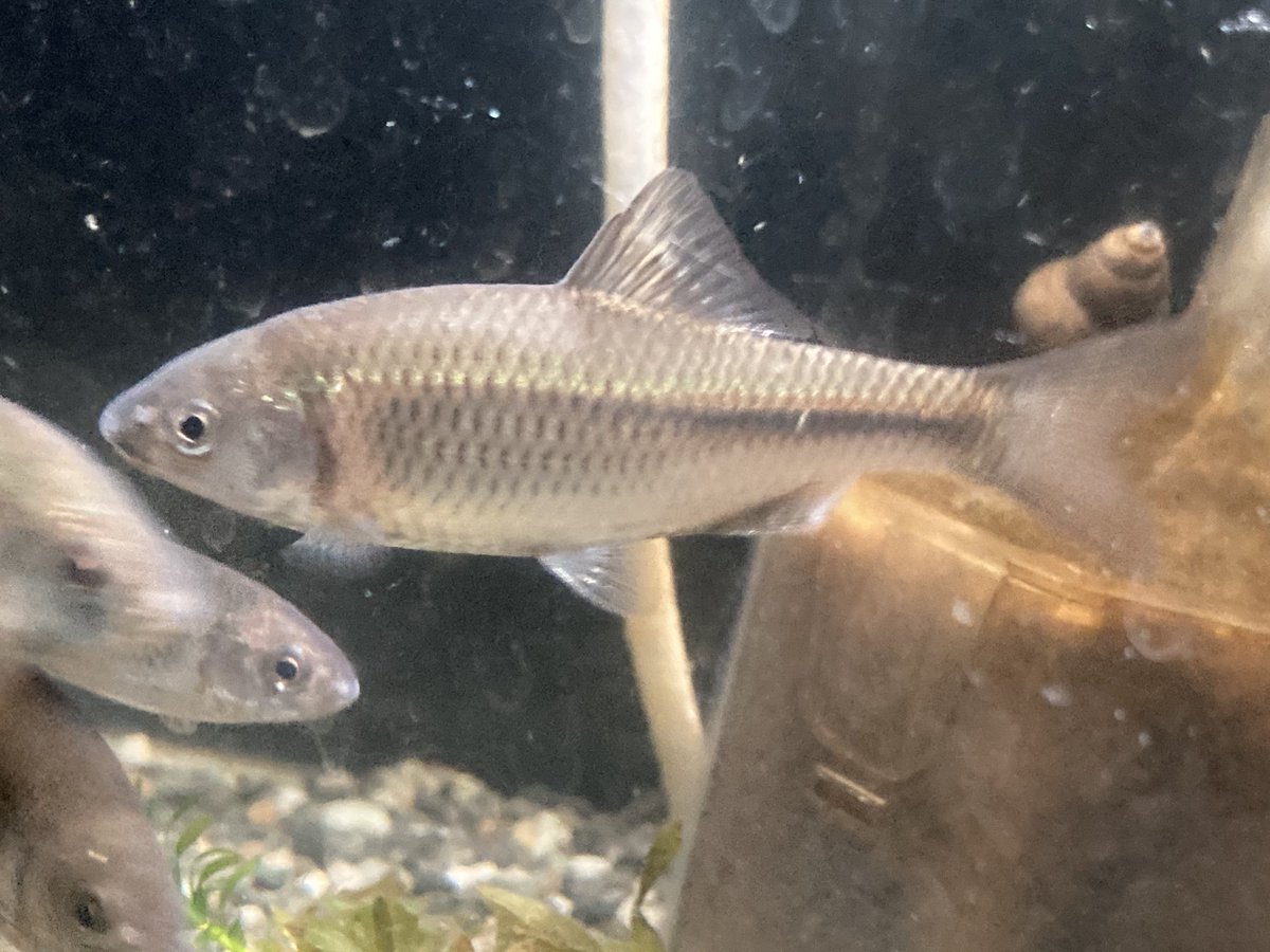 しるぐら tweet media