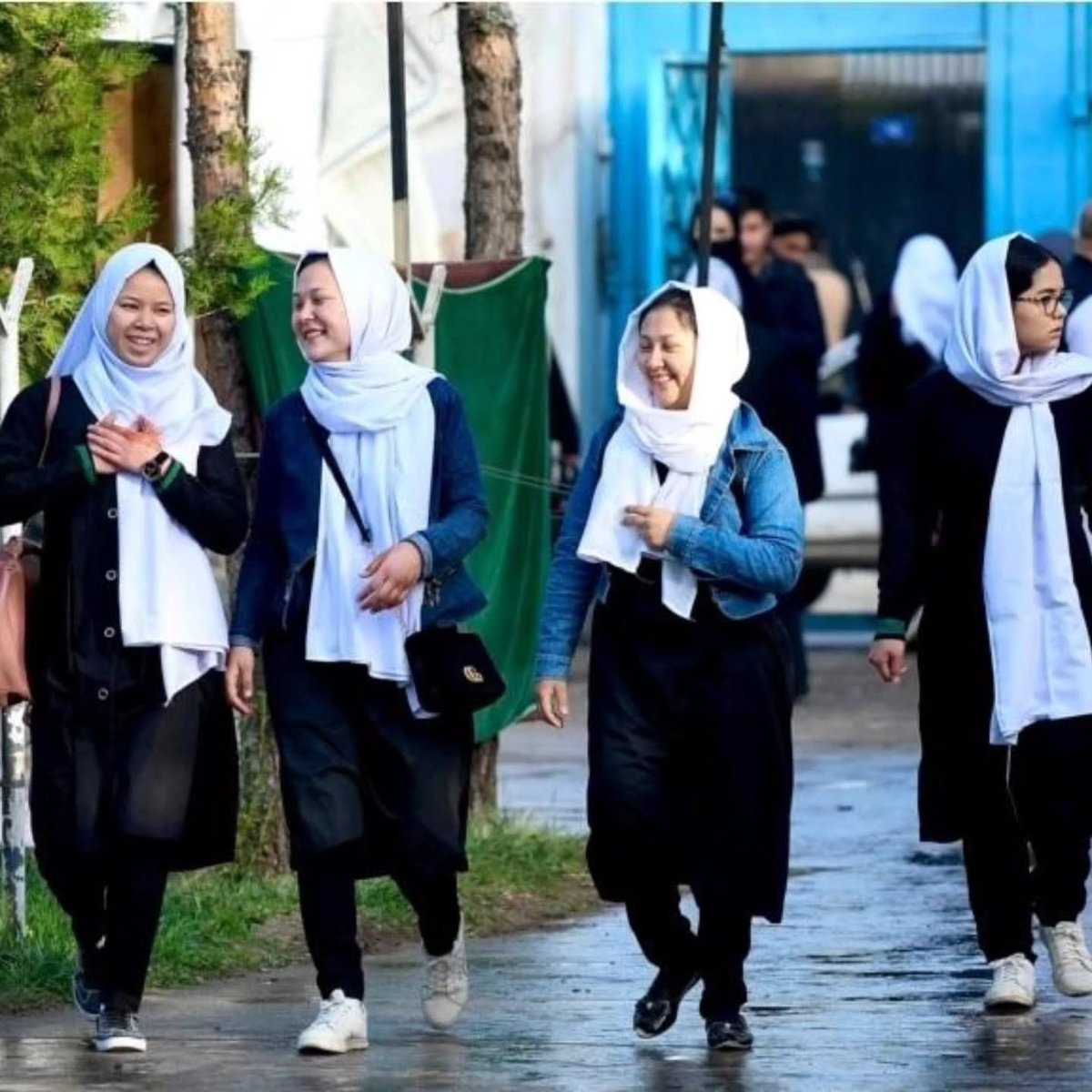 MariaMercury tweet media