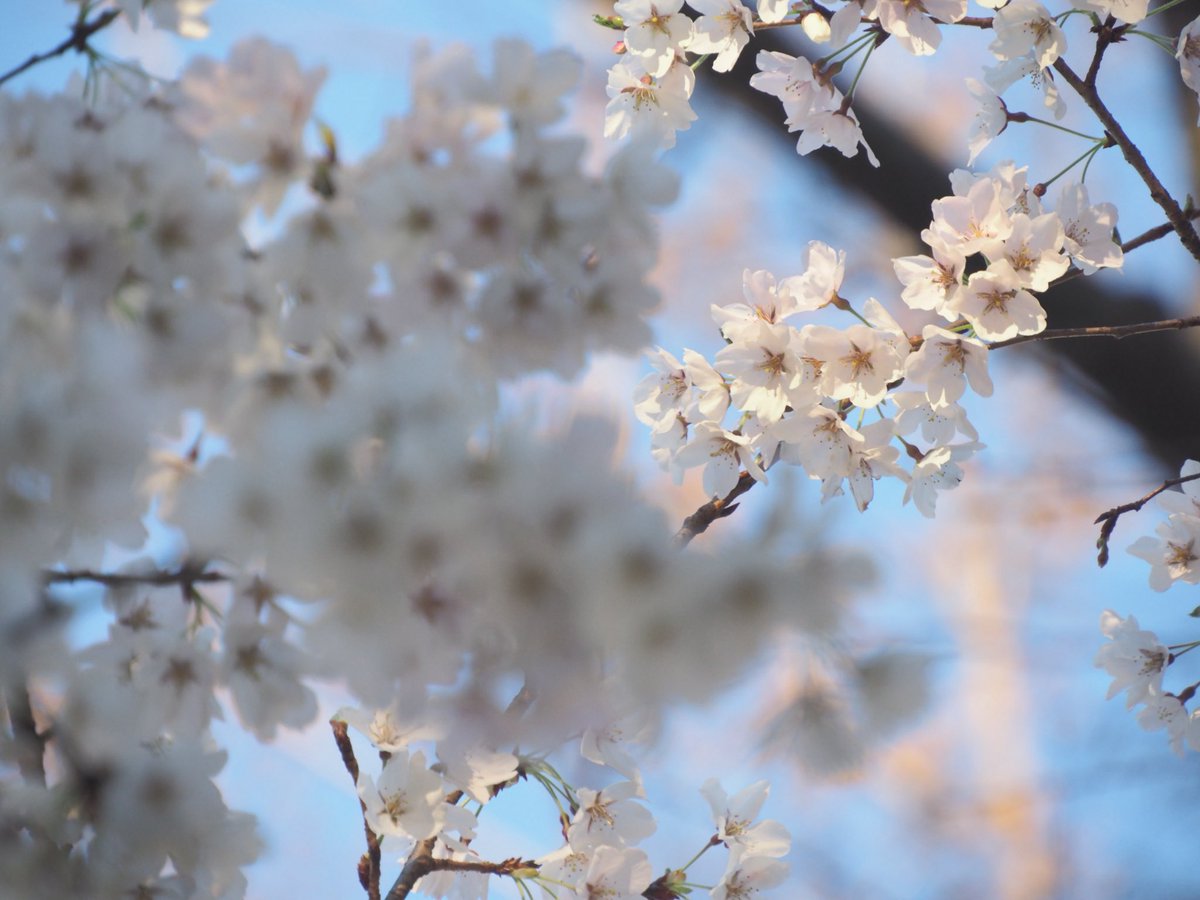 ちょこぐみ新規📸予定9月〜 tweet media