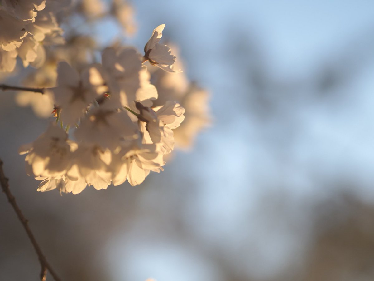 ちょこぐみ新規📸予定9月〜 tweet media