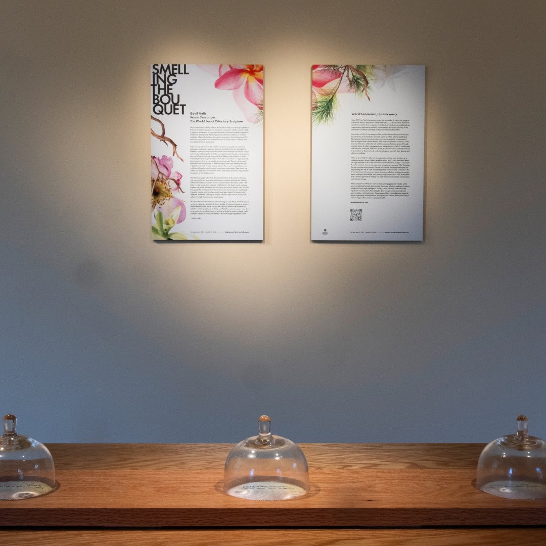 MO Botanical Garden tweet media