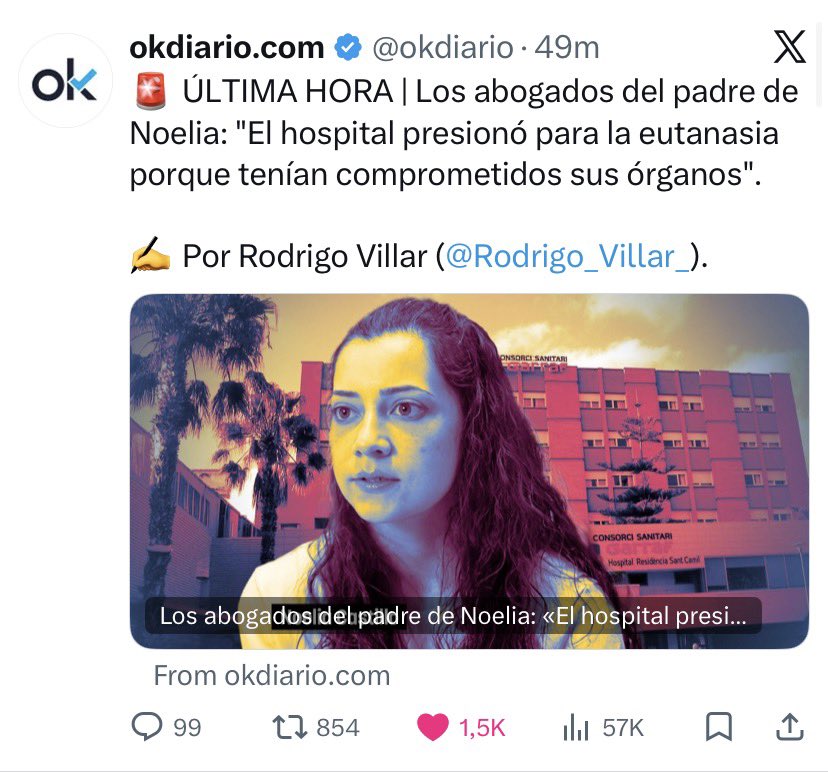 David van Hemelryck 🕊#D tweet media