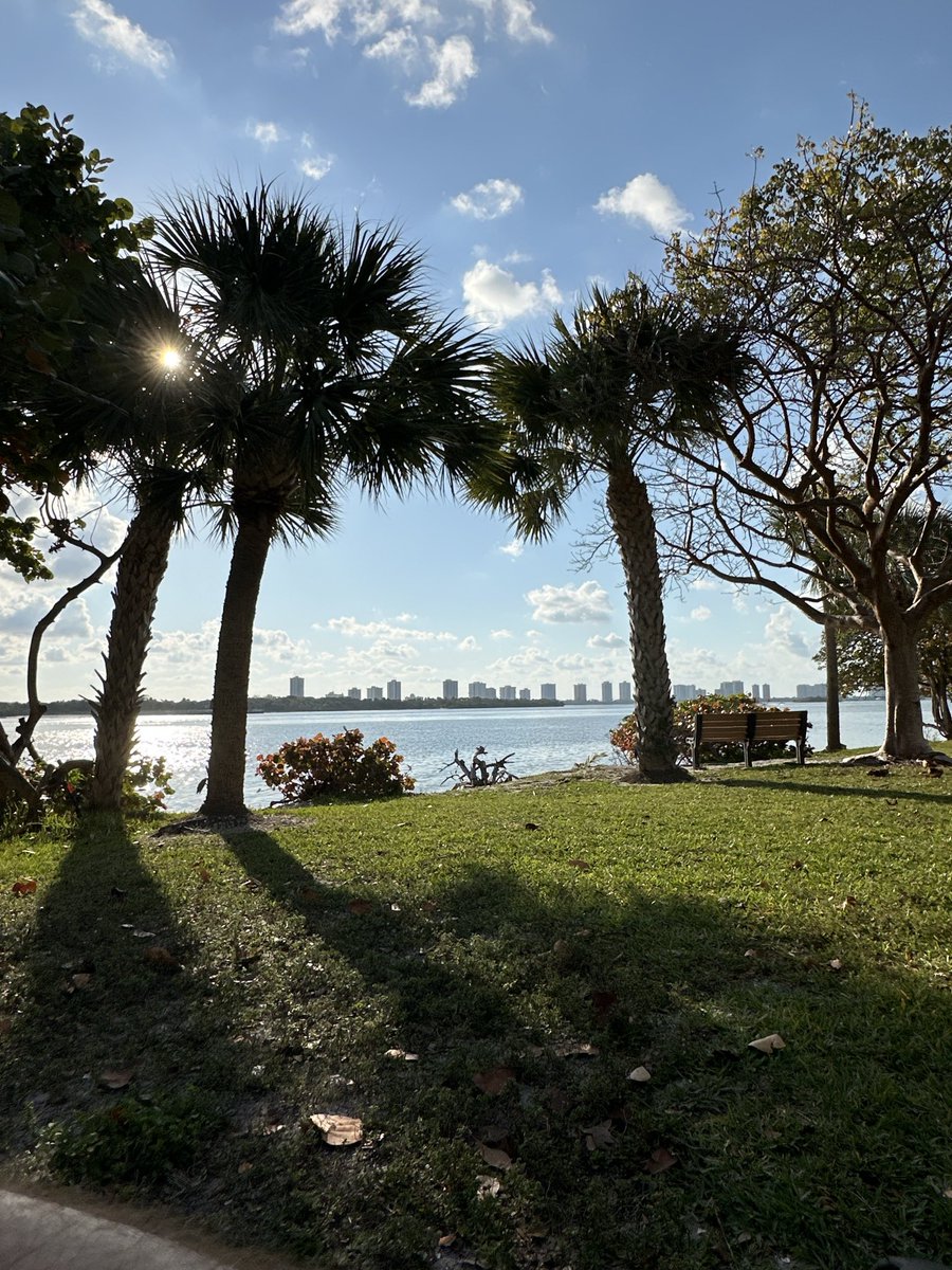 Nicolas Fry tweet media