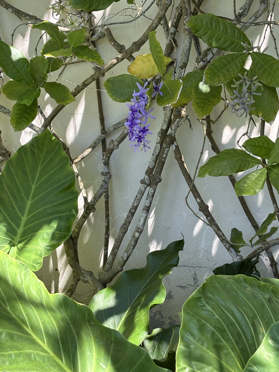 Rtgoddess2 tweet media