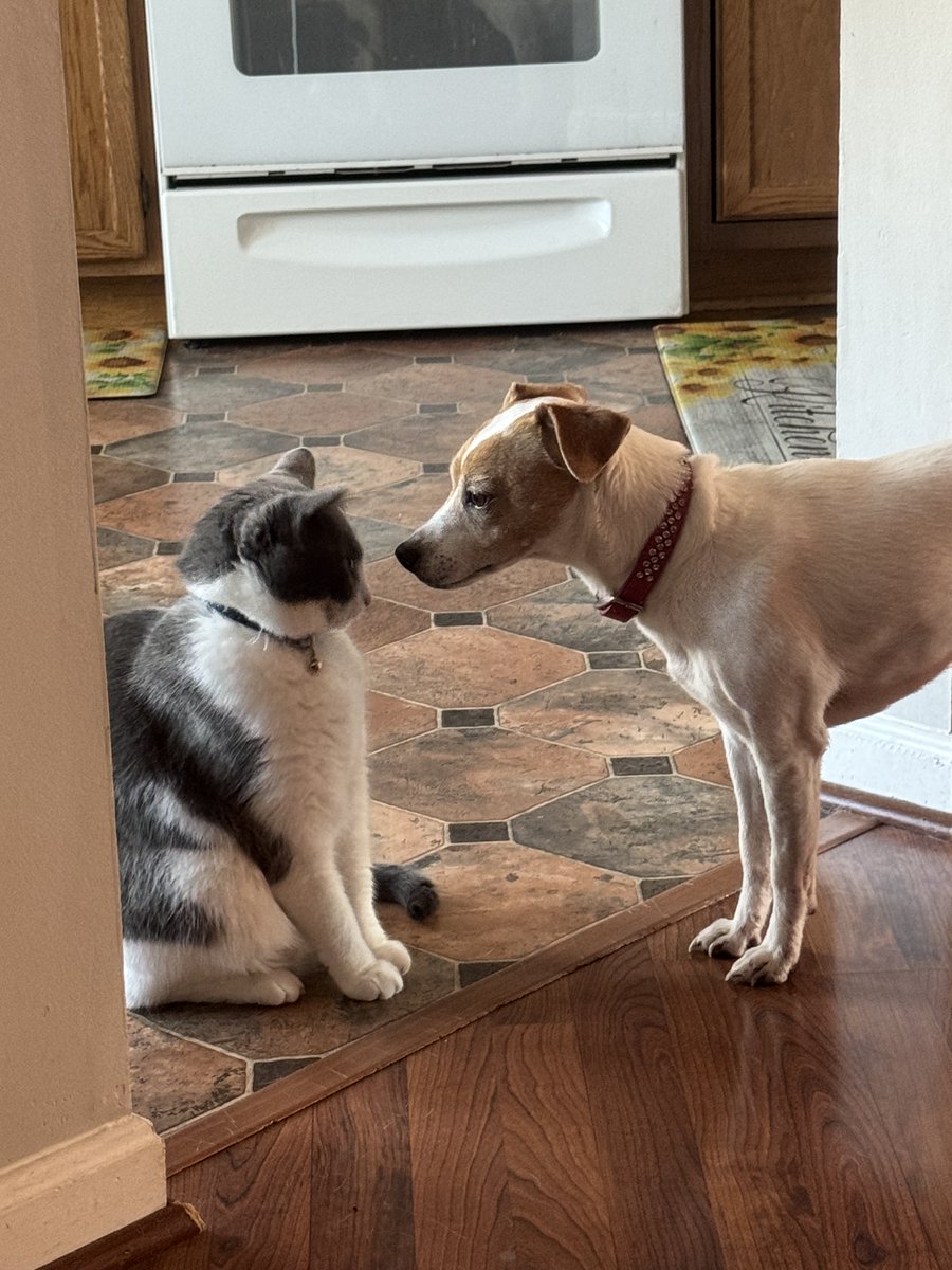 Baltimore_Bred tweet media