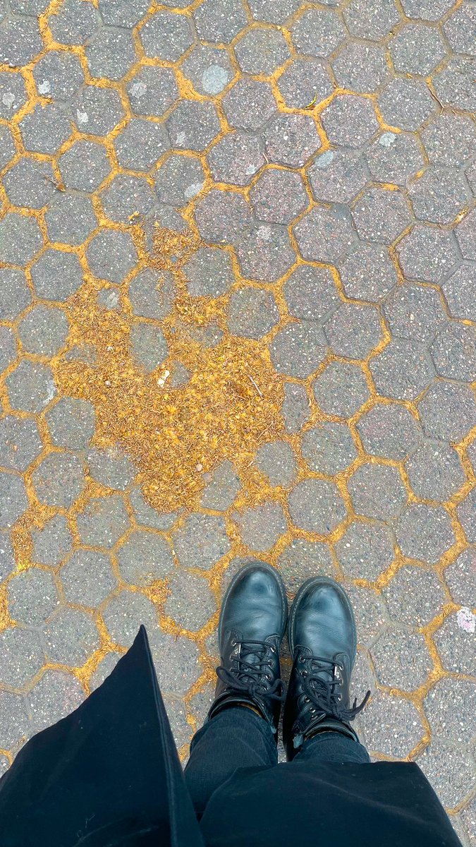 Candela 🕯 tweet media