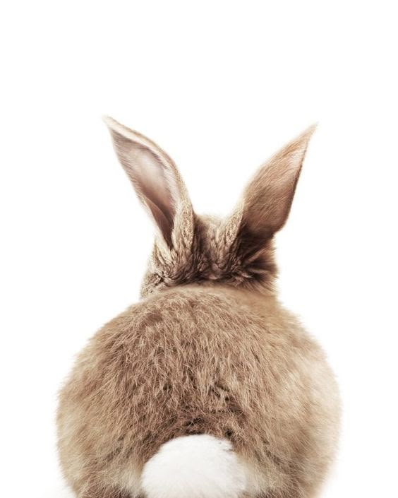 michelle tweet media