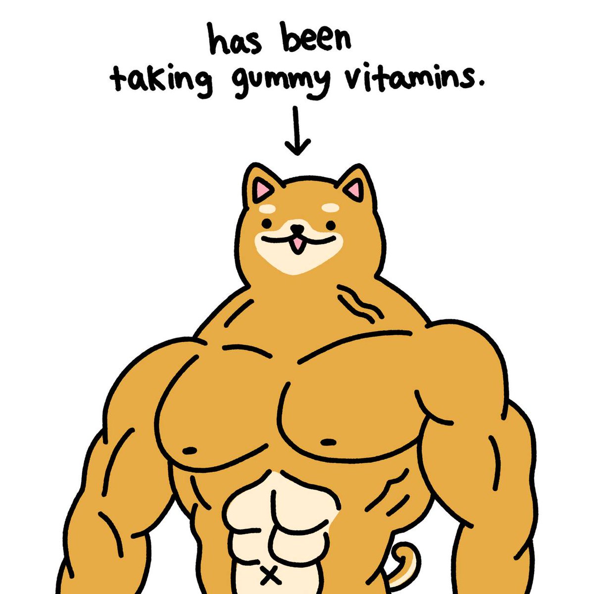 Sebastian chaoray tweet media