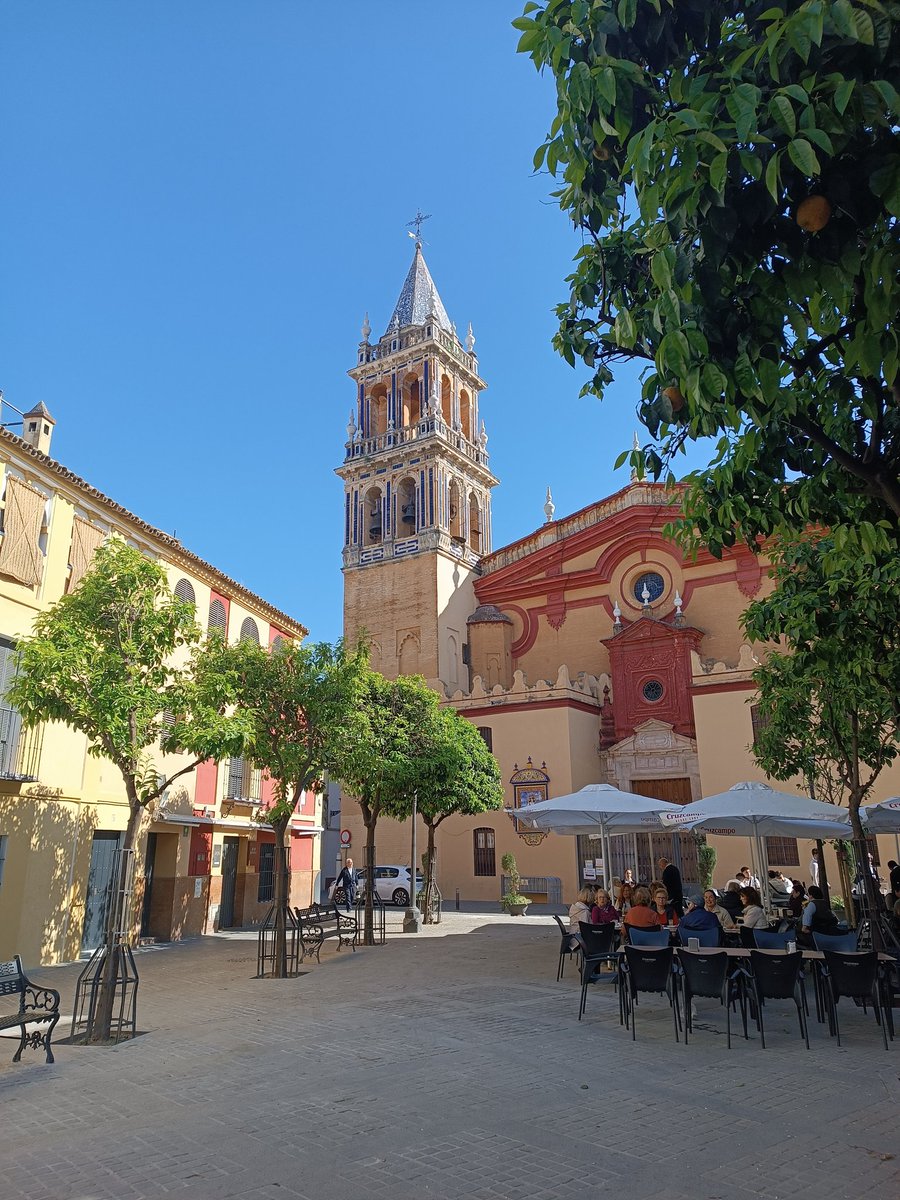 Jujo🌿 tweet media