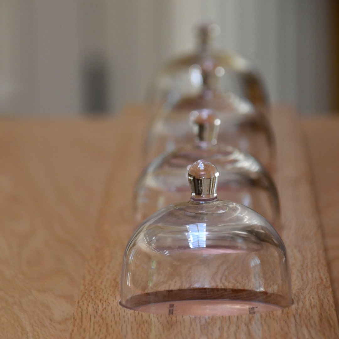 MO Botanical Garden tweet media