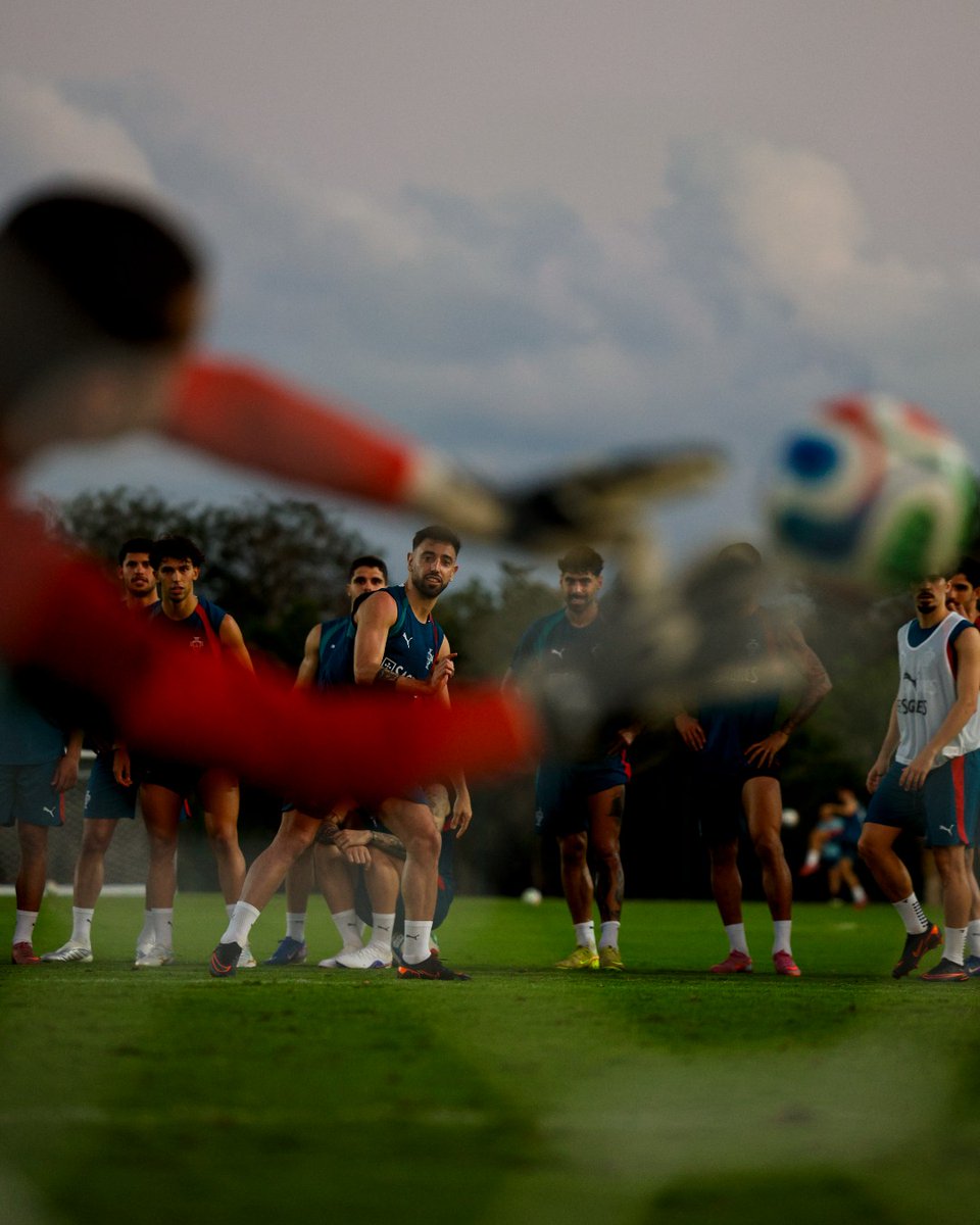 Portugal tweet media