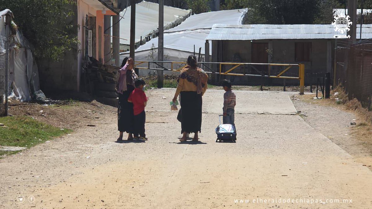 El Heraldo de Chiapas tweet media