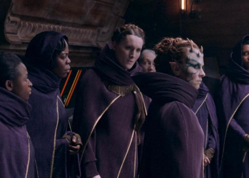 Loki 🦊🦕 tweet media