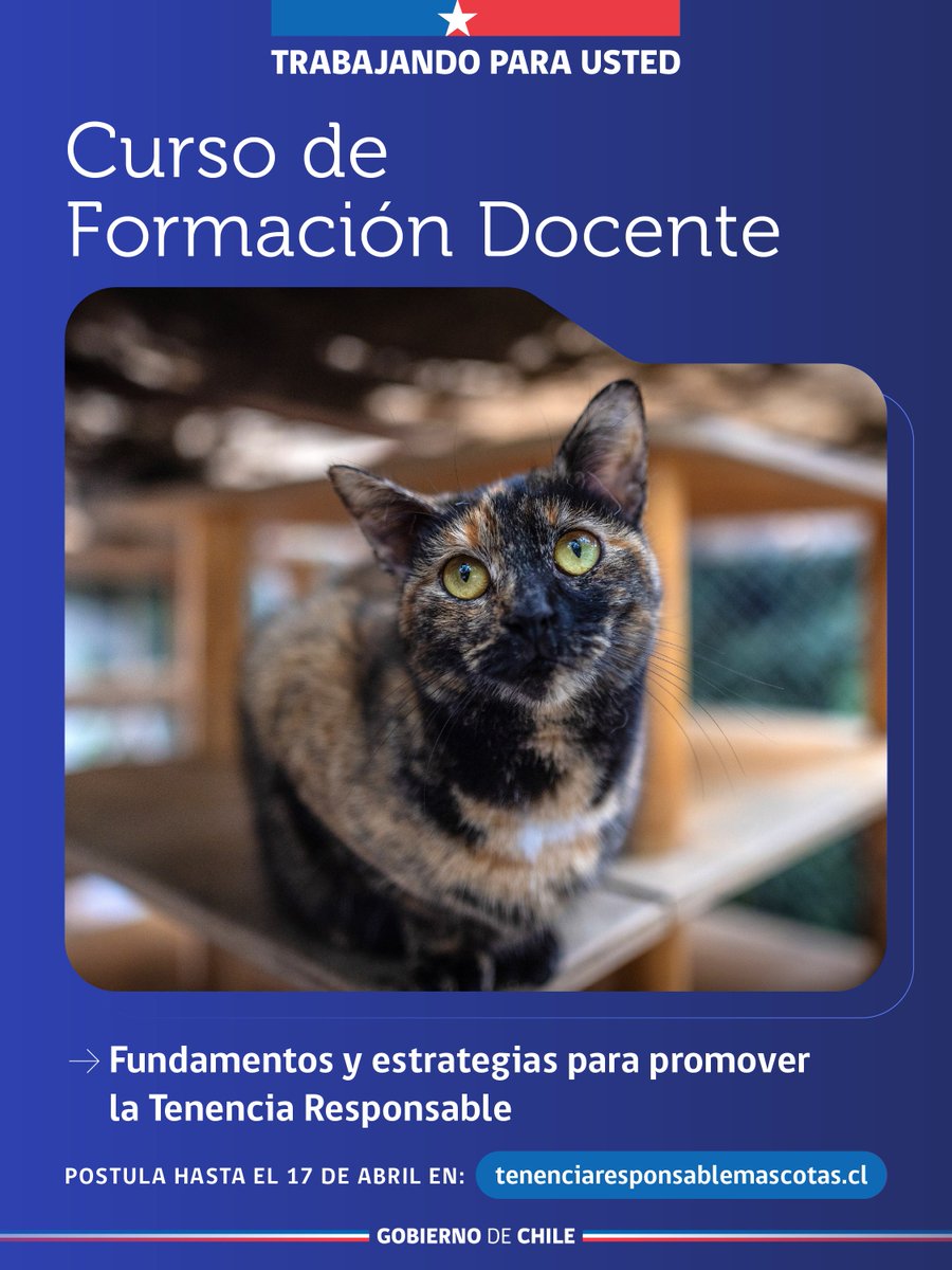 Tenencia Responsable tweet media